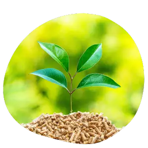 ecologie ecocrystal