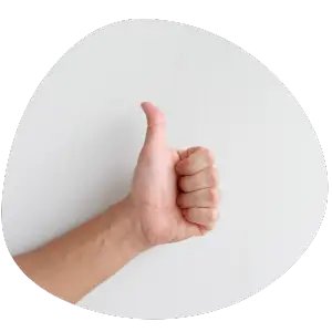 Ecocrystal Icon