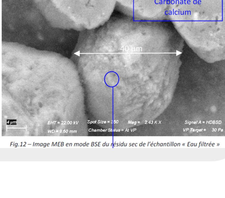 Cristaux d'aragonite, eau filtrée EcoCrystal (microscopie électronique)