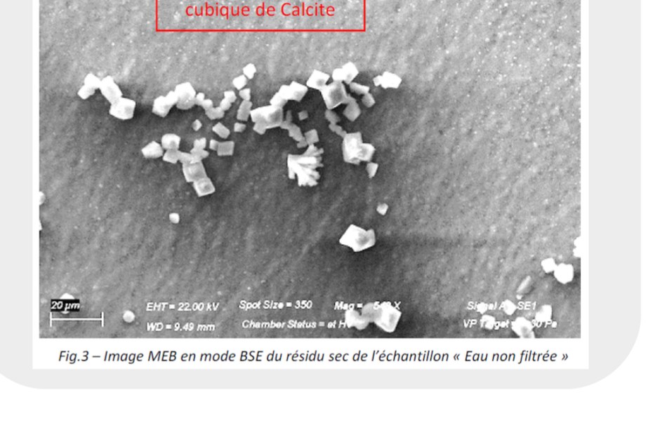 Cristaux de calcite, eau non filtrée (microscopie électronique)